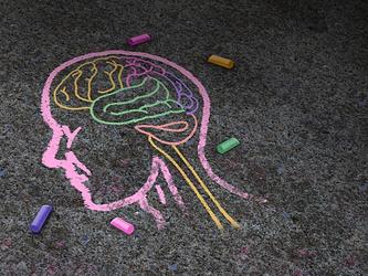 coloured chalk drawing of a brain on pavement